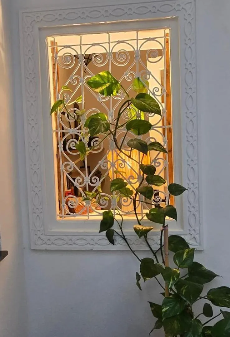 La Maison Des Amis Fès